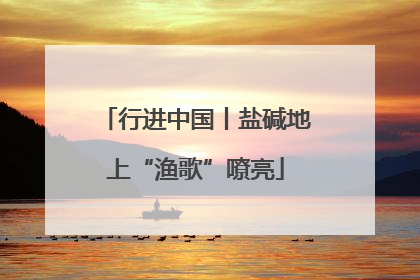 行进中国丨盐碱地上“渔歌”嘹亮