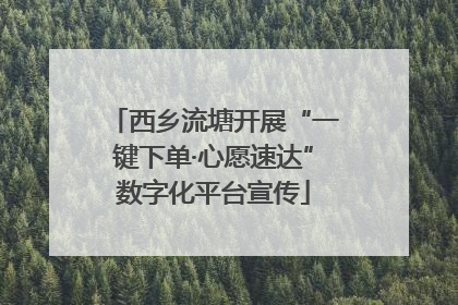 西乡流塘开展“一键下单·心愿速达”数字化平台宣传