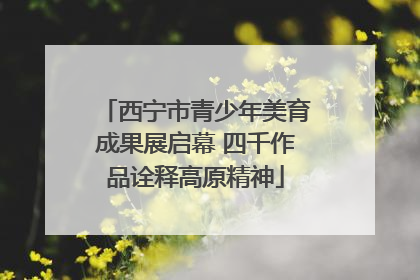 西宁市青少年美育成果展启幕 四千作品诠释高原精神