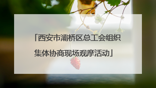 西安市灞桥区总工会组织集体协商现场观摩活动