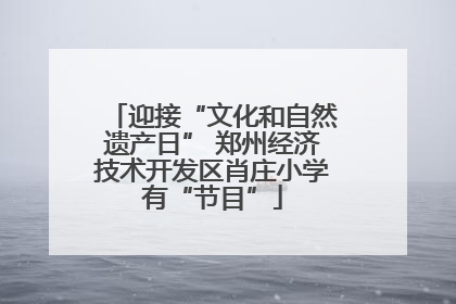 迎接“文化和自然遗产日” 郑州经济技术开发区肖庄小学有“节目”