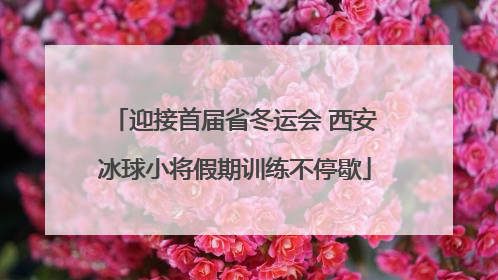 迎接首届省冬运会 西安冰球小将假期训练不停歇