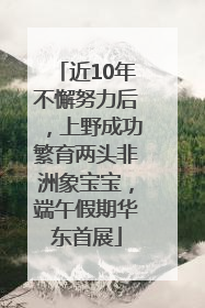 近10年不懈努力后，上野成功繁育两头非洲象宝宝，端午假期华东首展