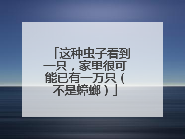 这种虫子看到一只，家里很可能已有一万只（不是蟑螂）