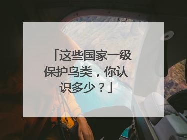 这些国家一级保护鸟类，你认识多少？