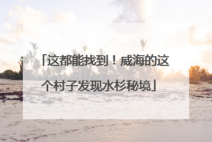 这都能找到！威海的这个村子发现水杉秘境