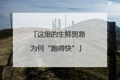 这里的生鲜贸易为何“跑得快”