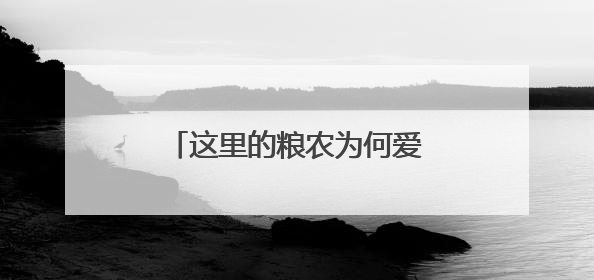 这里的粮农为何爱种“面包小麦”？