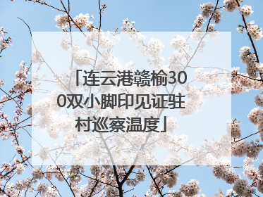 连云港赣榆300双小脚印见证驻村巡察温度