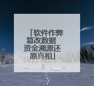 软件作弊篡改数据 资金溯源还原真相