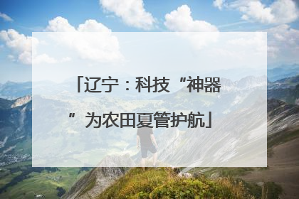 辽宁：科技“神器”为农田夏管护航