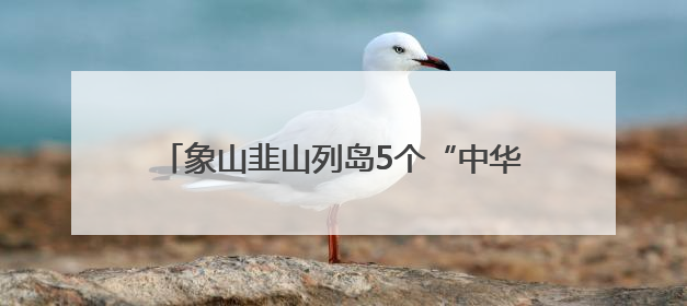 象山韭山列岛5个“中华宝宝”破壳，中华凤头燕鸥进入孵化育儿关键期