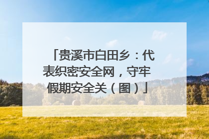 贵溪市白田乡：代表织密安全网，守牢假期安全关（图）