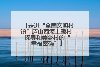 走进“全国文明村镇”庐山西海上畈村 探寻和美乡村的“幸福密码”