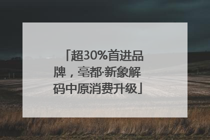 超30%首进品牌，亳都·新象解码中原消费升级
