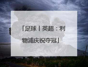 足球丨英超：利物浦庆祝夺冠