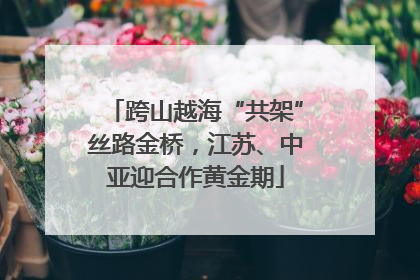 跨山越海“共架”丝路金桥，江苏、中亚迎合作黄金期