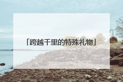 跨越千里的特殊礼物
