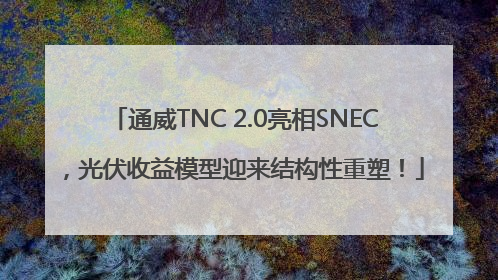 通威TNC 2.0亮相SNEC，光伏收益模型迎来结构性重塑！