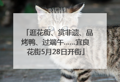 逛花街、赏非遗、品烤鸭、过端午……宜良花街5月28日开街