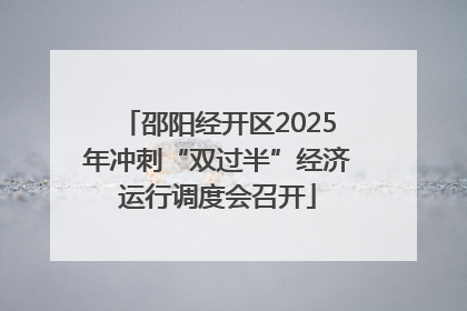 邵阳经开区2025年冲刺“双过半”经济运行调度会召开