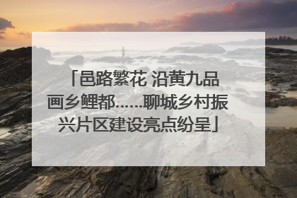 邑路繁花 沿黄九品 画乡鲤都……聊城乡村振兴片区建设亮点纷呈