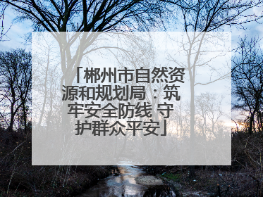 郴州市自然资源和规划局：筑牢安全防线 守护群众平安