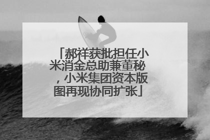 郝祥获批担任小米消金总助兼董秘，小米集团资本版图再现协同扩张