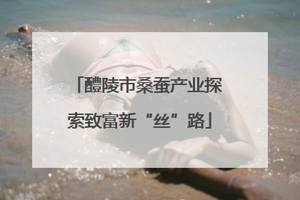 醴陵市桑蚕产业探索致富新“丝”路