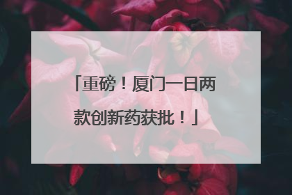 重磅！厦门一日两款创新药获批！