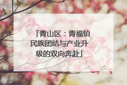 青山区：青福镇民族团结与产业升级的双向奔赴