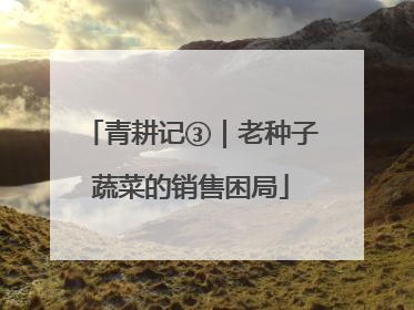 青耕记③｜老种子蔬菜的销售困局
