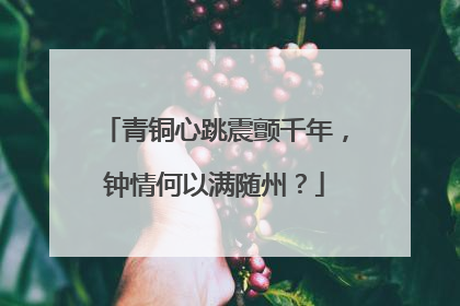 青铜心跳震颤千年，钟情何以满随州？