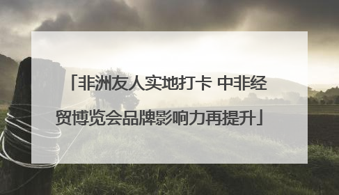 非洲友人实地打卡 中非经贸博览会品牌影响力再提升