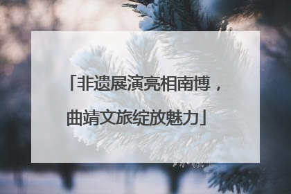 非遗展演亮相南博，曲靖文旅绽放魅力