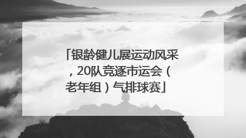银龄健儿展运动风采，20队竞逐市运会（老年组）气排球赛