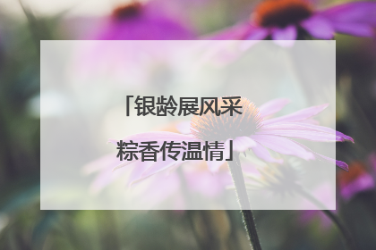 银龄展风采 粽香传温情