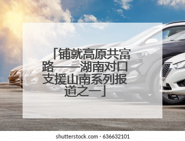 铺就高原共富路——湖南对口支援山南系列报道之一