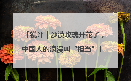 锐评｜沙漠玫瑰开花了，中国人的浪漫叫“担当”
