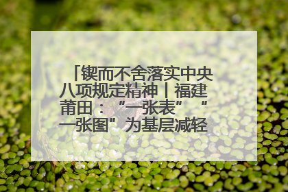 锲而不舍落实中央八项规定精神丨福建莆田：“一张表”“一张图”为基层减轻“数字负担”