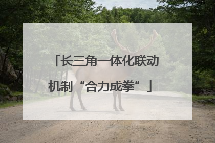 长三角一体化联动机制“合力成拳”
