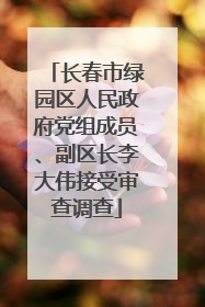 长春市绿园区人民政府党组成员、副区长李大伟接受审查调查