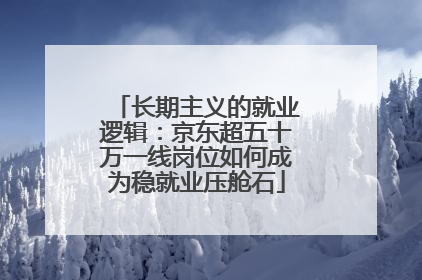 长期主义的就业逻辑：京东超五十万一线岗位如何成为稳就业压舱石