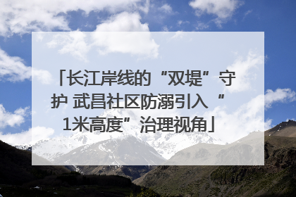 长江岸线的“双堤”守护 武昌社区防溺引入“1米高度”治理视角