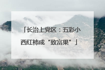 长治上党区：五彩小西红柿成“致富果”