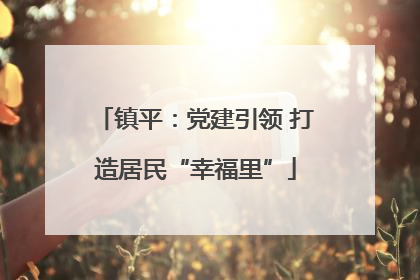 镇平：党建引领 打造居民“幸福里”