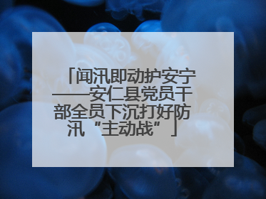 闻汛即动护安宁——安仁县党员干部全员下沉打好防汛“主动战”