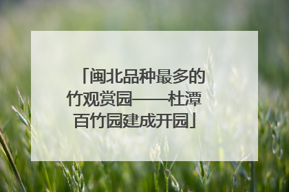 闽北品种最多的竹观赏园——杜潭百竹园建成开园