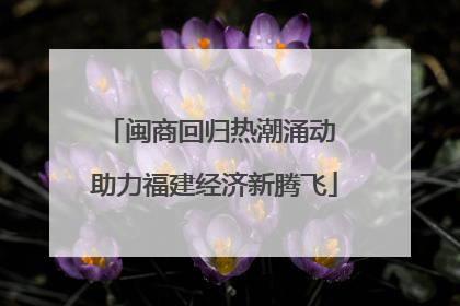 闽商回归热潮涌动 助力福建经济新腾飞