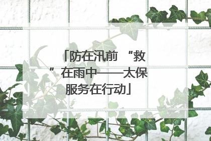 防在汛前 “救”在雨中——太保服务在行动